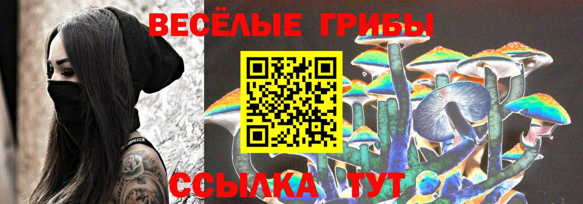 Галлюциногенные грибы прущие грибы Кашира
