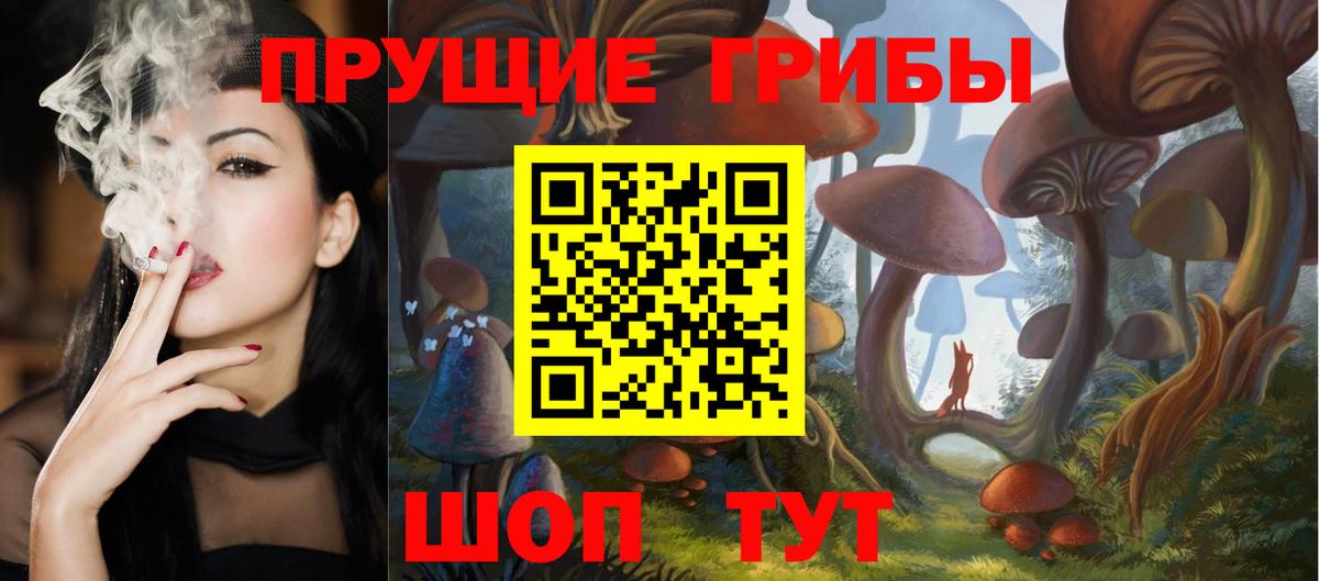 Кашира  Псилоцибиновые грибы Cubensis  сколько стоит  Вход с VPN 